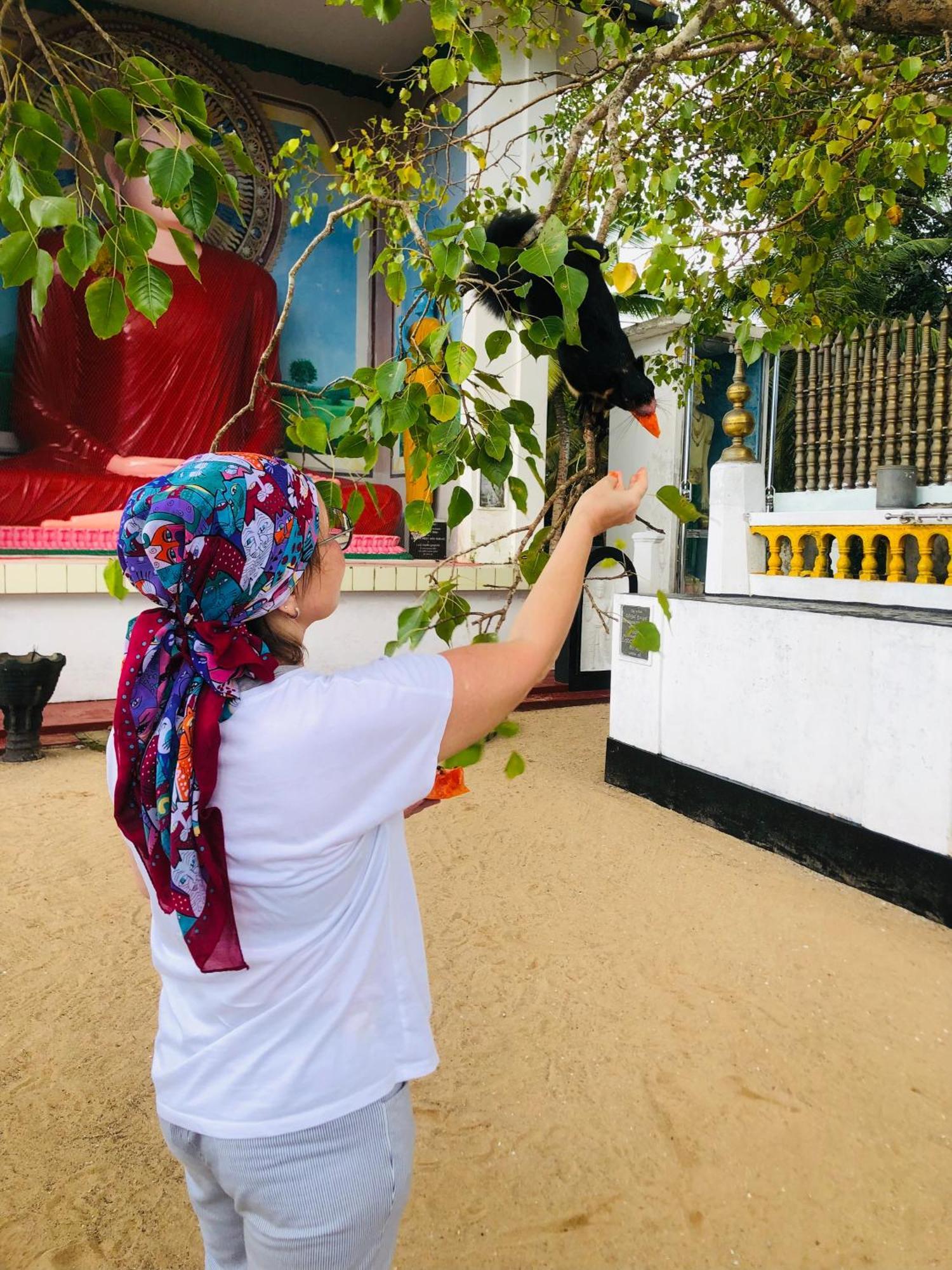 Ocean Pearl Cottage أهونغالا المظهر الخارجي الصورة